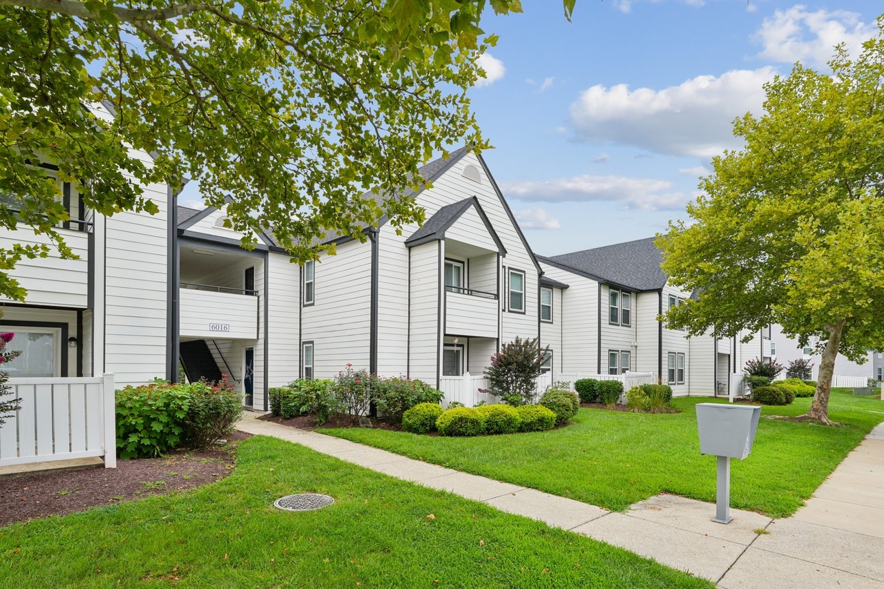 New Forest Apartments - Photo 3 of 17