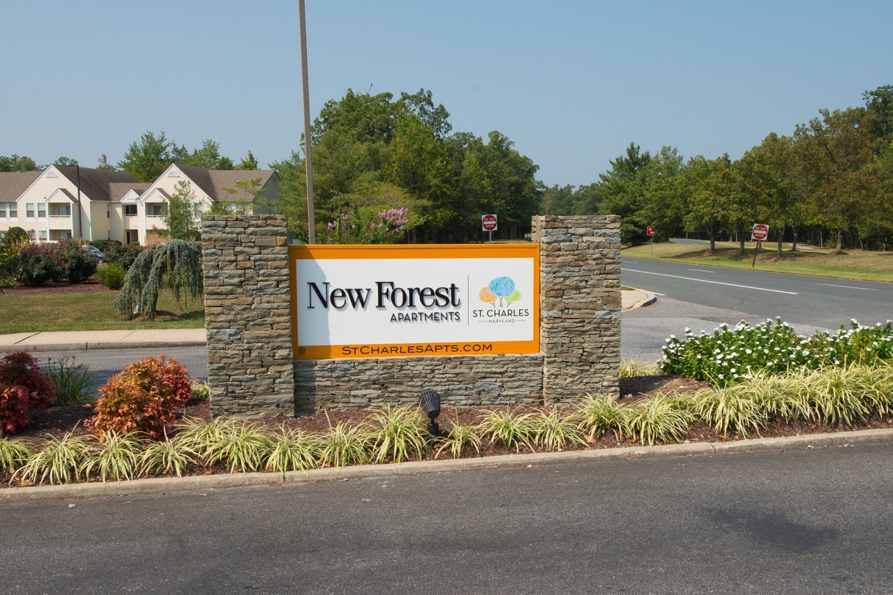 New Forest Apartments - Photo 6 of 17