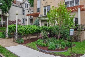 featured image of 423 Biddle Avenue