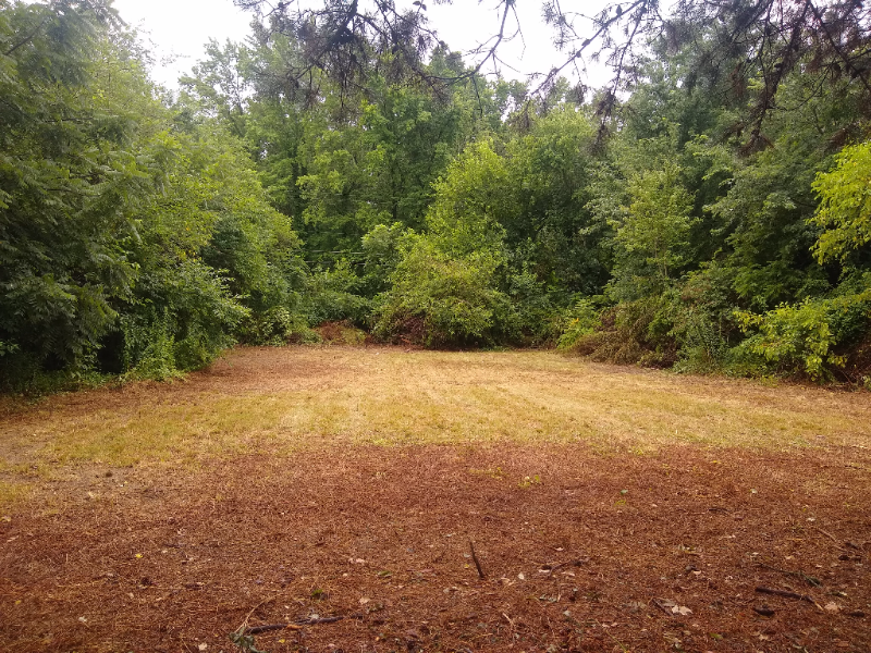 2760 Vine Rd - Photo 4 of 28