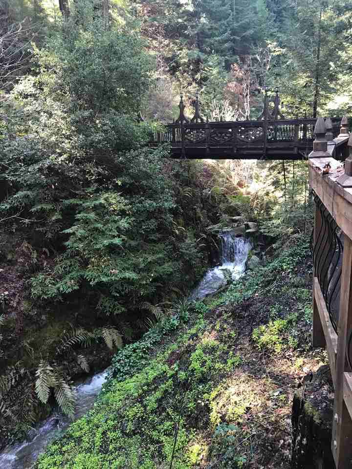 435 Hubbard Gulch Rd - Photo 3 of 9