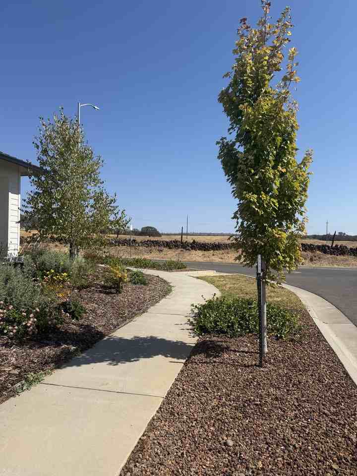 2996 Wingfield Ave - Photo 6 of 7