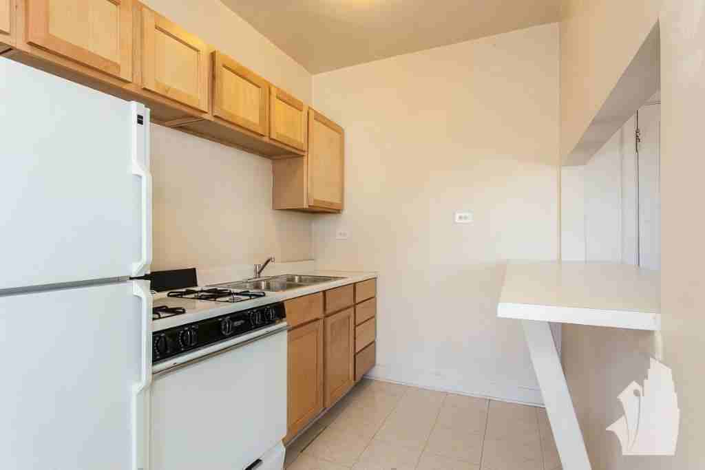 1050 W George St #302 - Photo 6 of 8