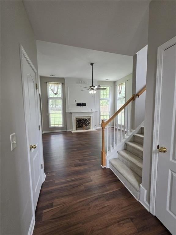1712 Hillside Bend Xing - Photo 2 of 17