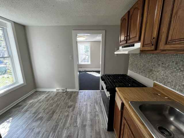 913 Niagara St Lowr Rear #LR - Photo 2 of 6