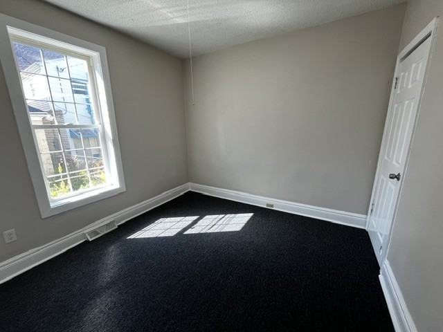 913 Niagara St Lowr Rear #LR - Photo 6 of 6