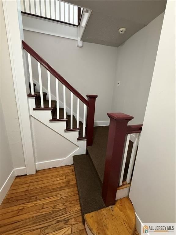 91 Nichol Ave #2 - Photo 3 of 13