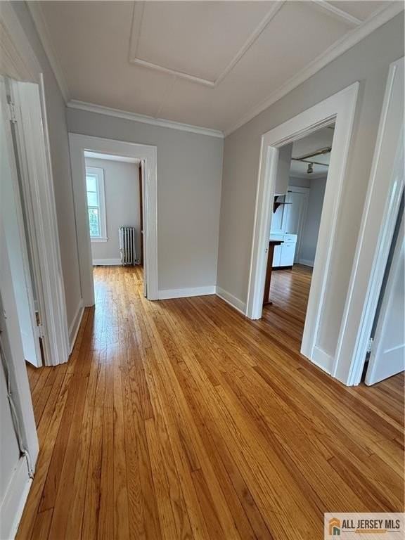 91 Nichol Ave #2 - Photo 4 of 13