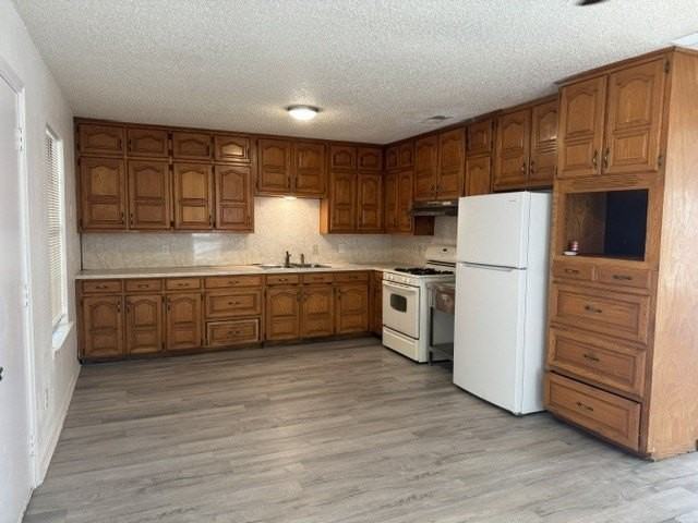513 Rose St - Photo 5 of 14