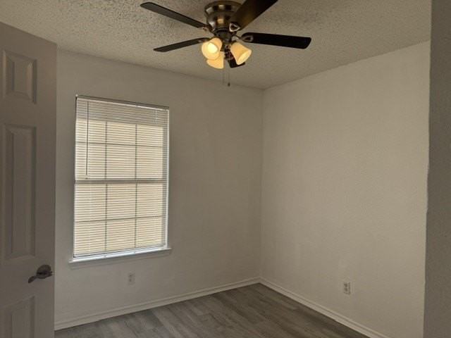 513 Rose St - Photo 6 of 14