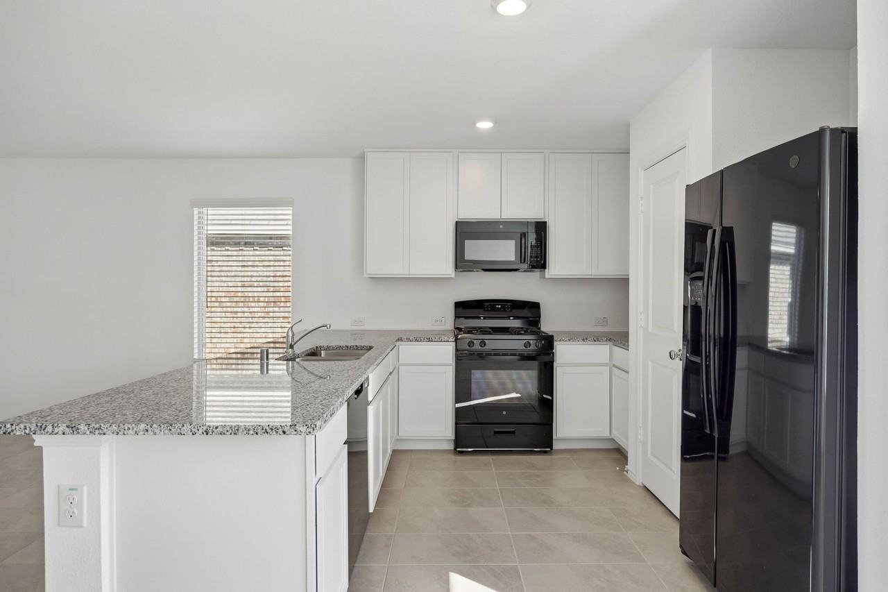1633 Rosy Finch Dr - Photo 5 of 12