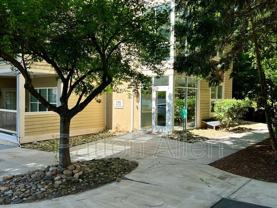 175 S Lexington Ave #C202 - Photo 1 of 1