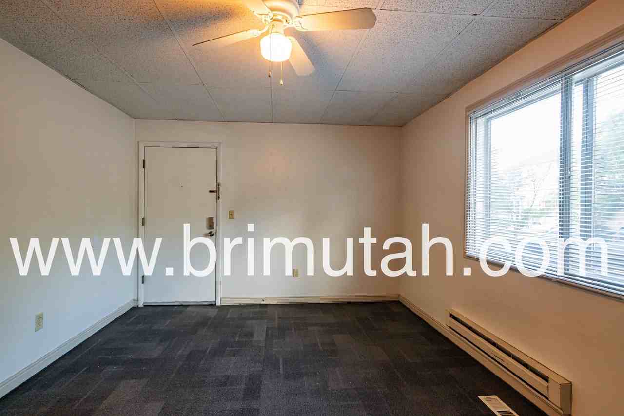 217 E. 3rd Ave. - Photo 3 of 18