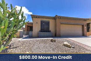 154 E Placita Lago Del Mago - Photo 1 of 1