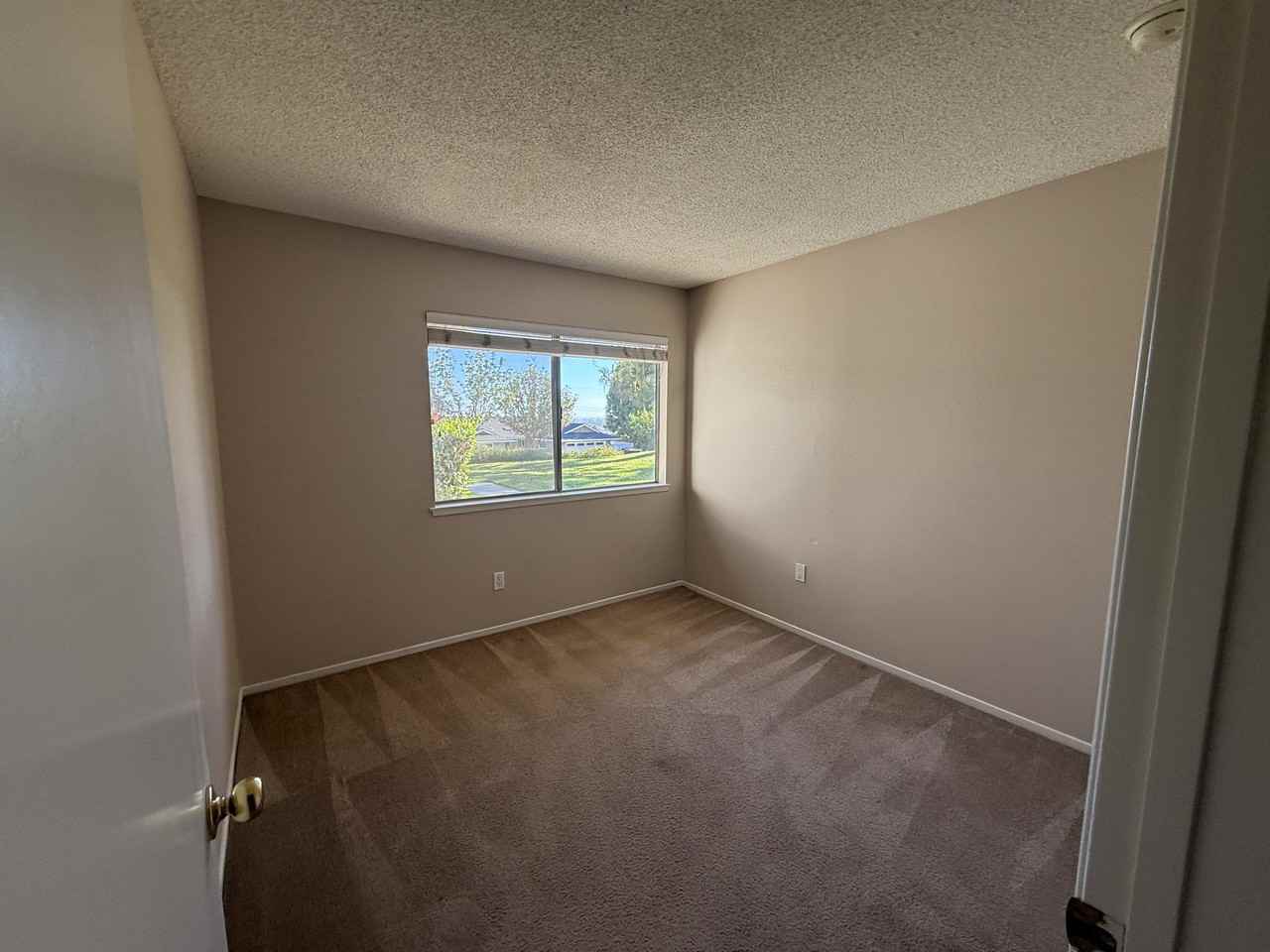 375 Nutwood St #NA - Photo 4 of 11