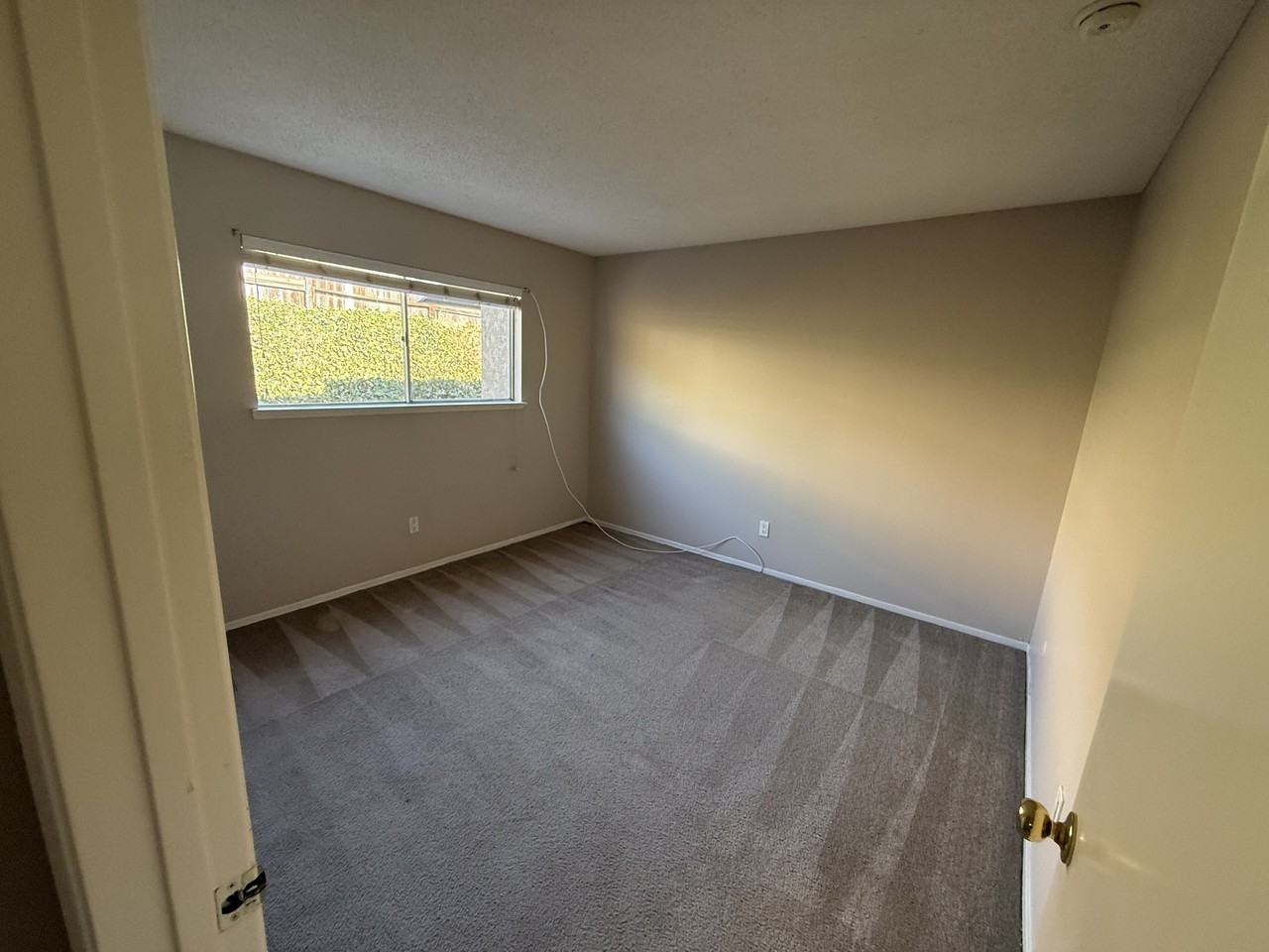 375 Nutwood St #NA - Photo 6 of 11