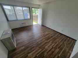 featured image of 1005 Saint Anne St #102