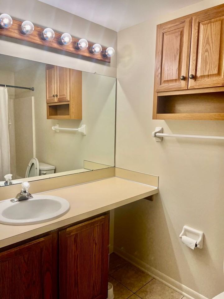 8474 Bubbling Springs Dr - Photo 4 of 17