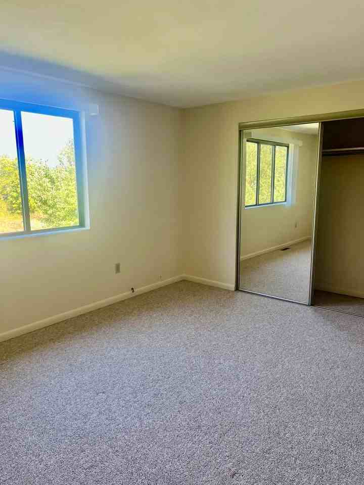 8474 Bubbling Springs Dr - Photo 5 of 17