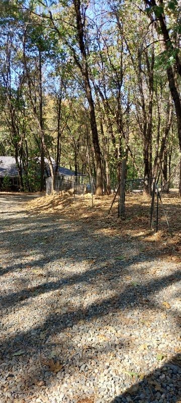 12896 Rices Crossing Rd - Photo 5 of 10