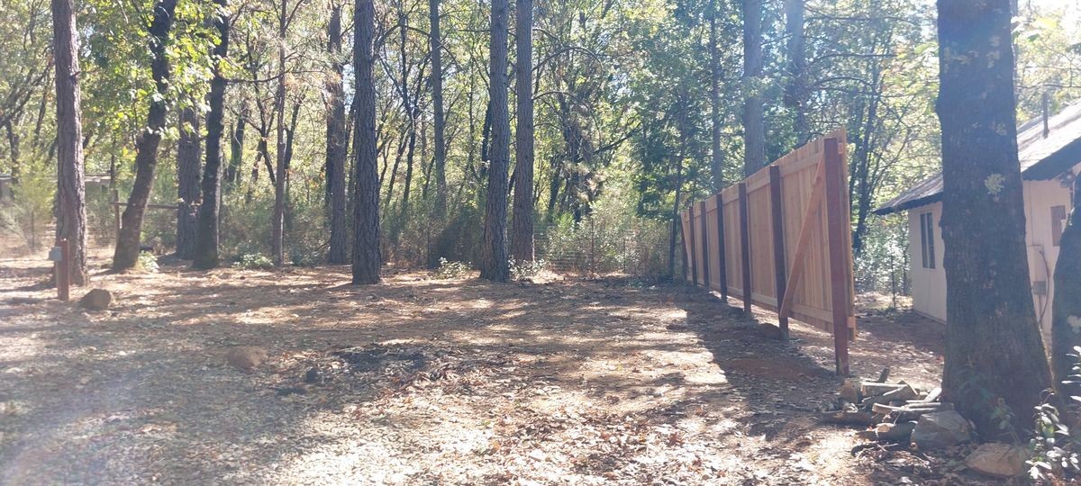 12896 Rices Crossing Rd - Photo 6 of 10