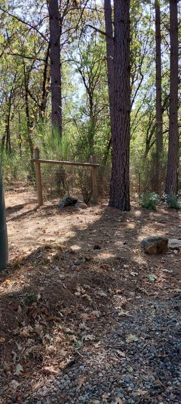 12896 Rices Crossing Rd - Photo 7 of 10
