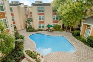 Turtle Creek - Photo 1 of 1