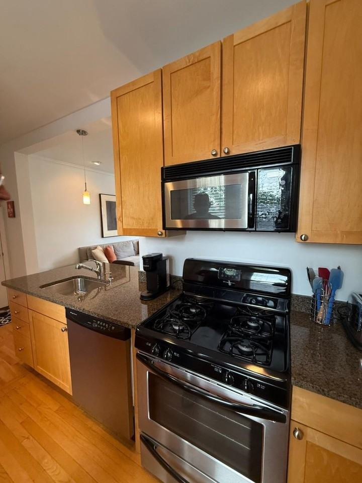 1733 W Balmoral Ave #3A - Photo 3 of 25