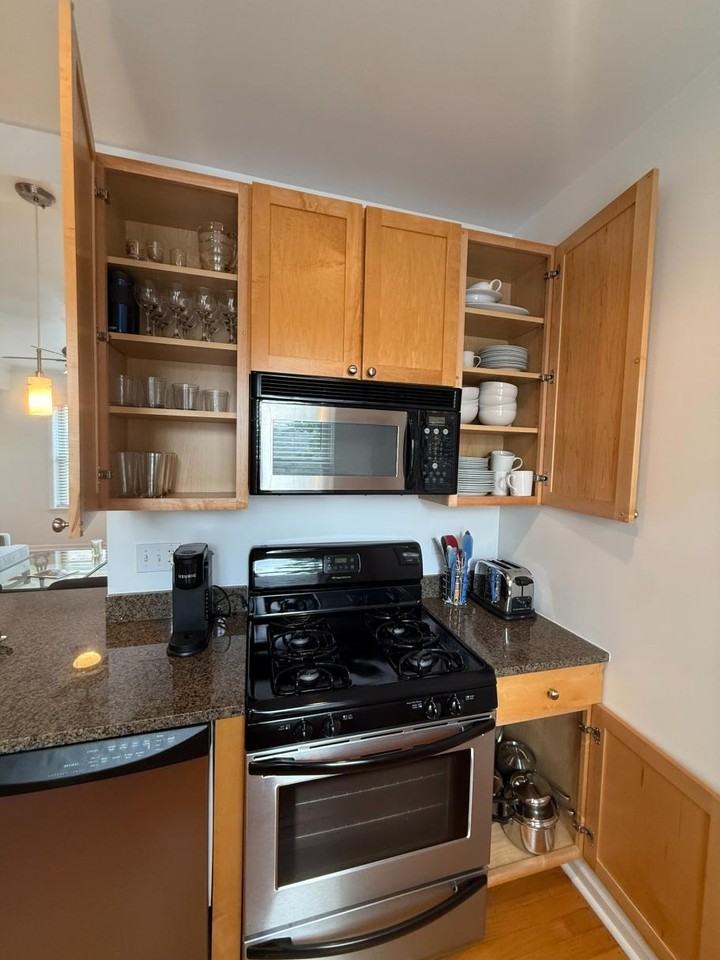 1733 W Balmoral Ave #3A - Photo 4 of 25