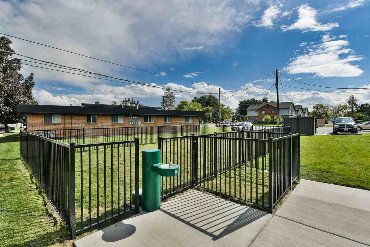 Pine Valley Apartments - Photo 4 of 11