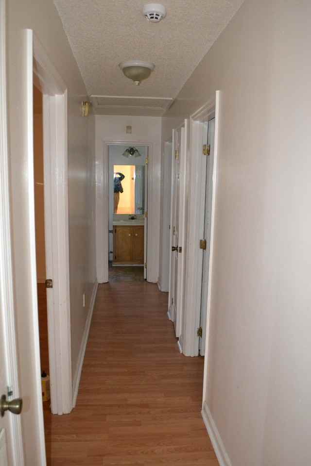 1099 Pineland Ave - Photo 7 of 17