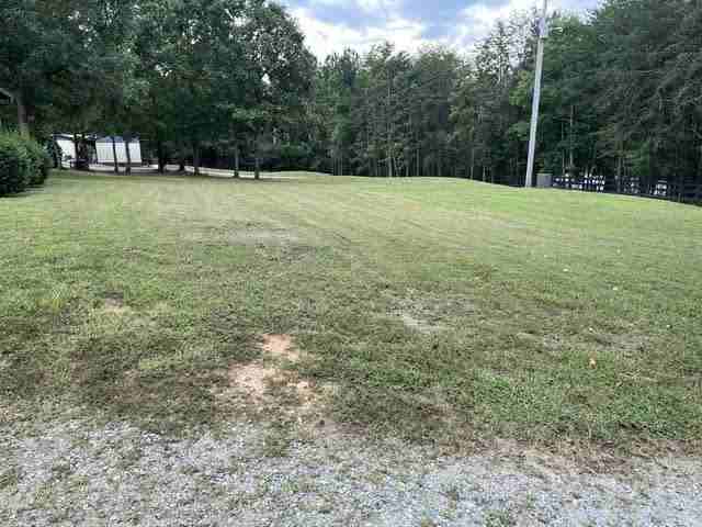 335 Tricycle Hill Ln - Photo 3 of 15