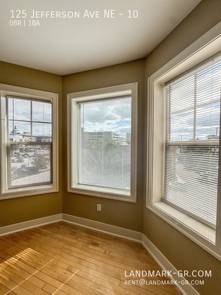 125 Jefferson Ave NE #10 - Photo 7 of 21
