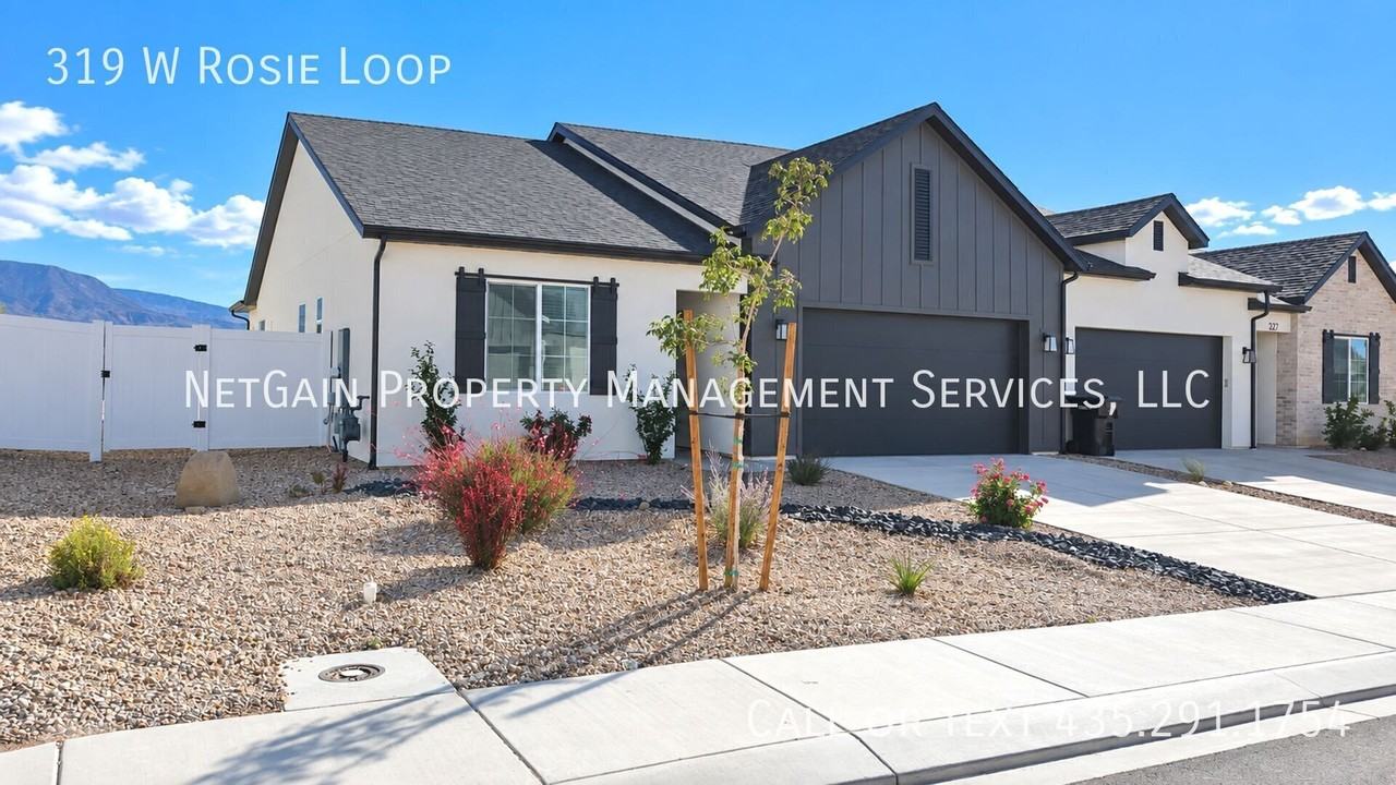 319 W Rosie Loop - Photo 4 of 30