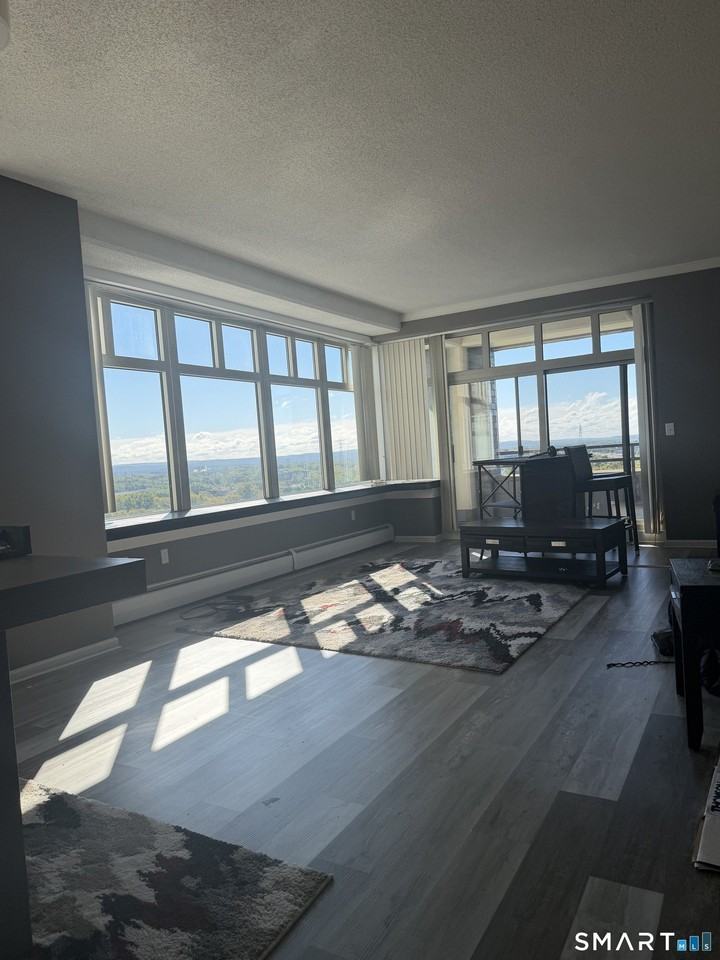 235 E River Dr #1108 - Photo 7 of 12