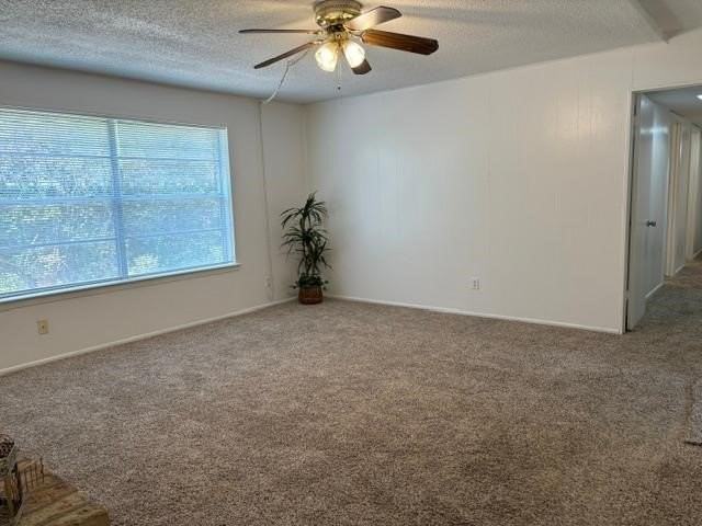 5357 Wonder Dr - Photo 5 of 14