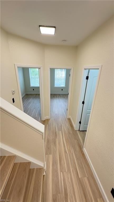 334 Fountain Way - Photo 6 of 24