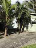 151 Valencia Dr - Photo 1 of 1