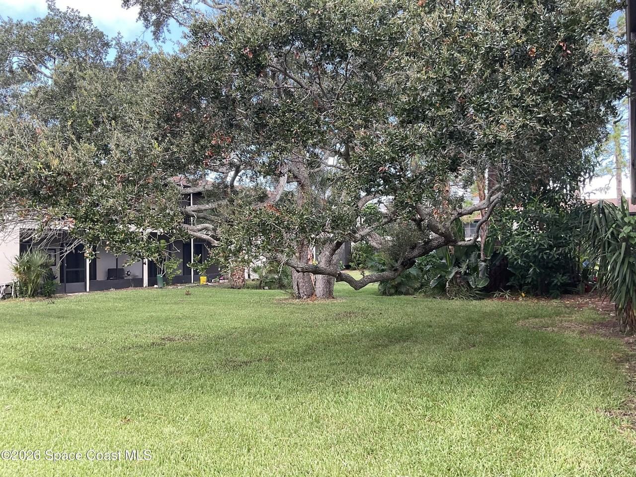 435 Catamaran Dr #55 - Photo 7 of 50