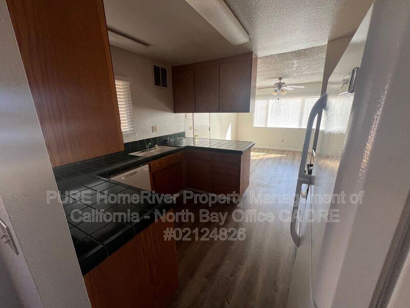 571 Chablis Ct - Photo 3 of 12