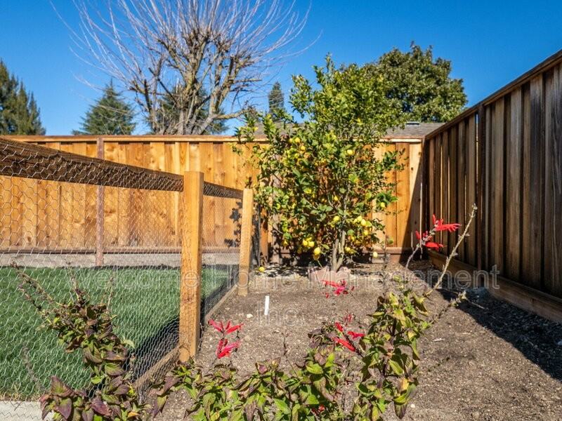 4151 Francisco St - Photo 3 of 18