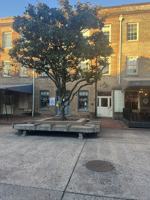 featured image of 230 W Saint Julian St #C