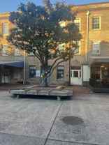230 W Saint Julian St #C - Photo 1 of 1