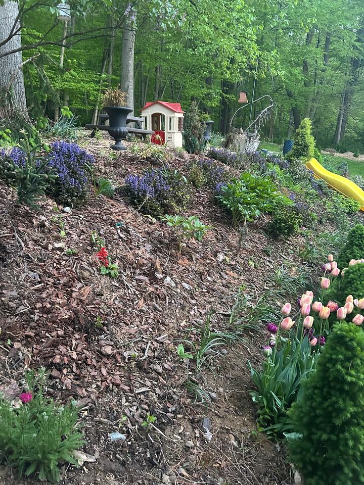 64 Bald Eagle Rd - Photo 6 of 9