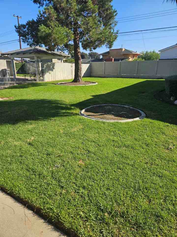 2570 College Ln - Photo 2 of 22