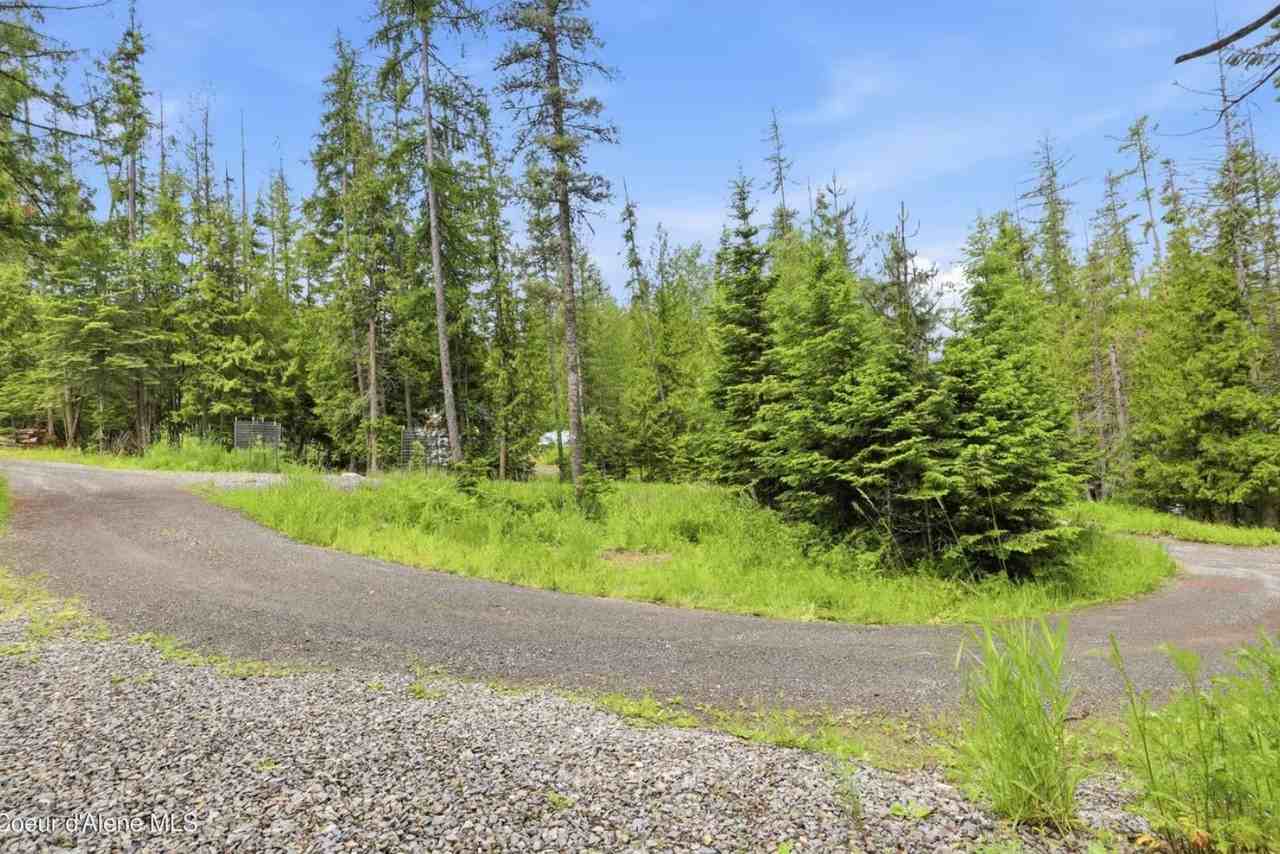 260 Fry Creek Rd - Photo 3 of 20