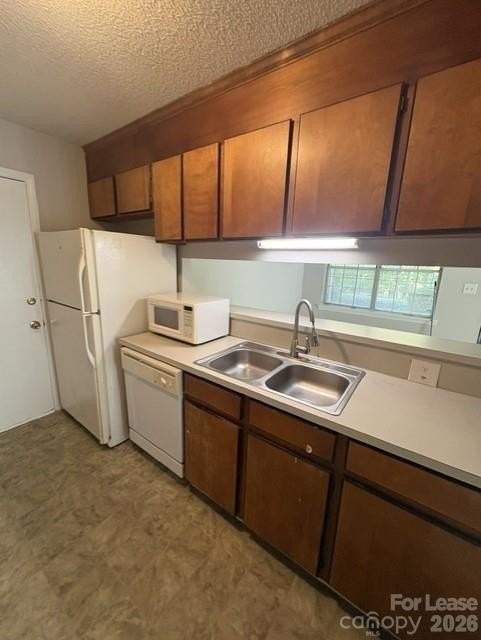 12429 Danby Rd - Photo 3 of 13