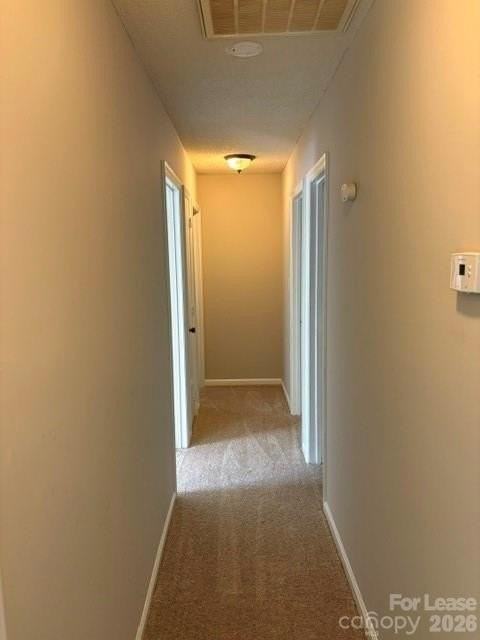 12429 Danby Rd - Photo 6 of 13