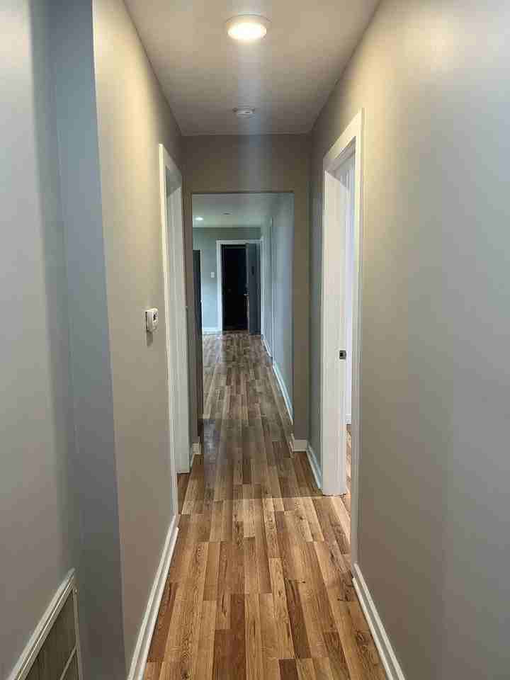 1037 West Polk Street #1R - Photo 6 of 12