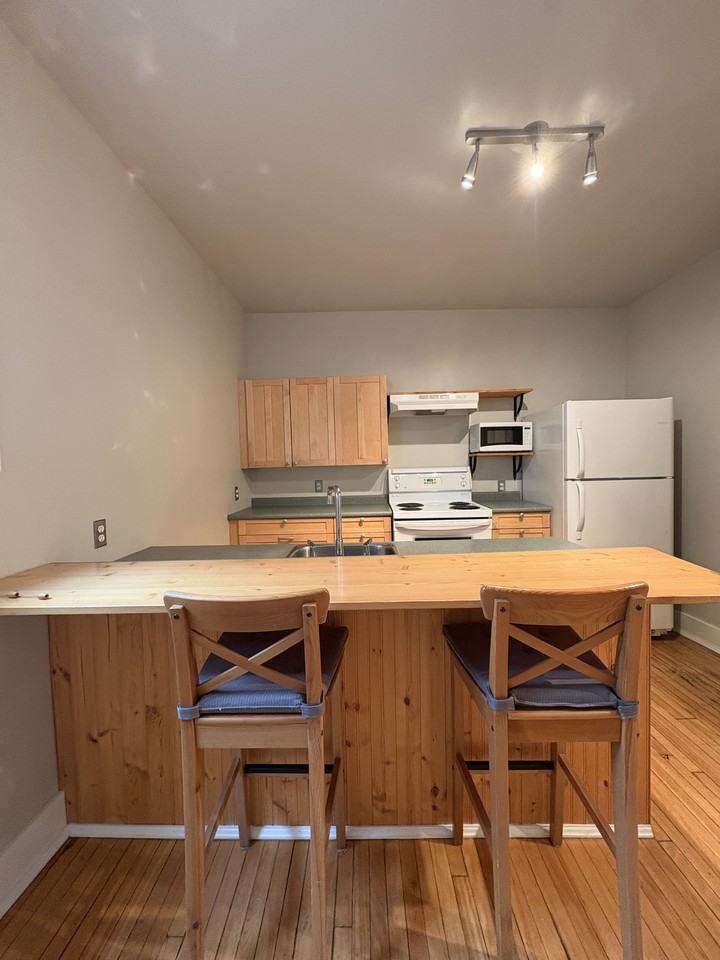530 Aulneau St - Photo 6 of 20